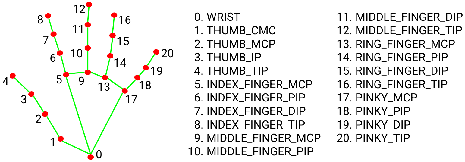 Figure 1: Figure 2 of mediapipe/hands (last accessed 2022.08.27).